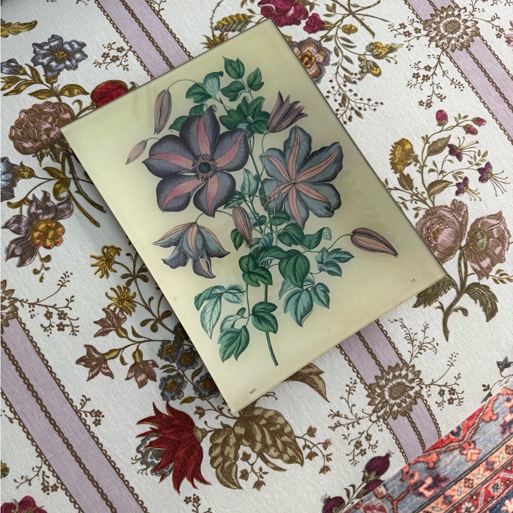 John Derian Clemantis plate